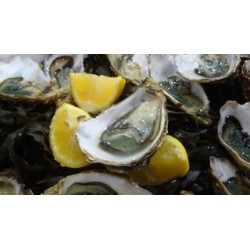 Oysters Fines de Claires Label Rouge Marennes Oléron N°2