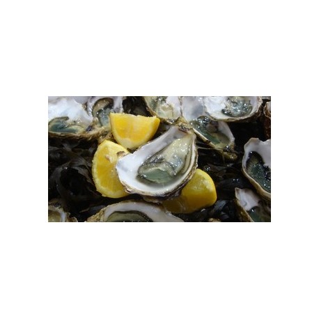 Oysters Fines de Claires Label Rouge Marennes Oléron N°2