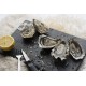 Oysters Fines de Claires N°2