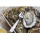 Oysters Spéciales de Claires Marennes Oléron N°2