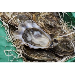 Huîtres Spéciales de Claires Marennes Oléron calibre N°2