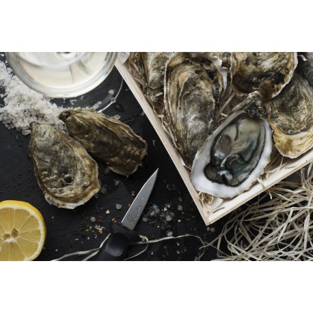 Oysters Fines de Claires Label Rouge Marennes Oléron N°3
