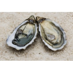 Formule Duo - Expert N° 2