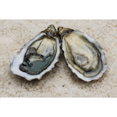 Formule Duo - Expert