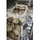 Oysters Spéciales de Claires "La Pousse en Claire" Label Rouge N°2
