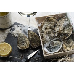 Oysters Fines de Claires Label Rouge Marennes Oléron N°2