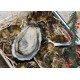 Oysters Spéciales de Claires "La Pousse en Claire" Label Rouge N°2