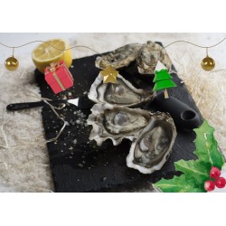 Oysters fines de claires N°3