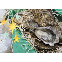 Oysters Fines de Claires N°2