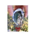 Oysters Fines de Claires Label Rouge Marennes Oléron N°3